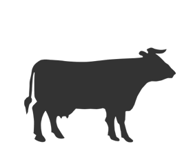 Boeuf & Veau - Une belle sélection de boeuf et de veau de qualité exceptionnelle.