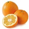 Orange & Orange Amère